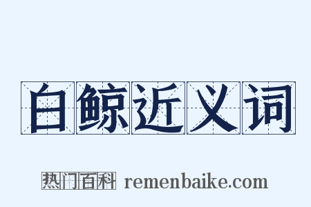 白鲸近义词是什么意思的图片